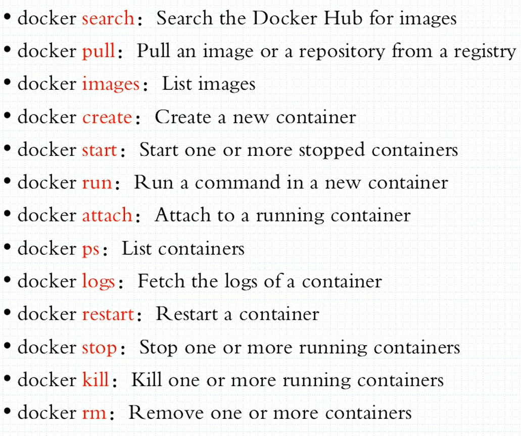 image-20201110224848820